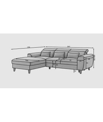 Coltar Extensibil Fobleros Plus Gri cu Lada de Depozitare, Sezlong pe Stanga, Tetiere Reglabile, l267xA196xH83-100 cm de l' environnement