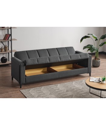 Canapea Extensibila, 3 Locuri, cu Lada de Depozitare, Suprafata de Dormit 190x102 cm, tapitata cu Stofa, Moda K1 Gri Inchis, l217xA82xH85 cm les ctes