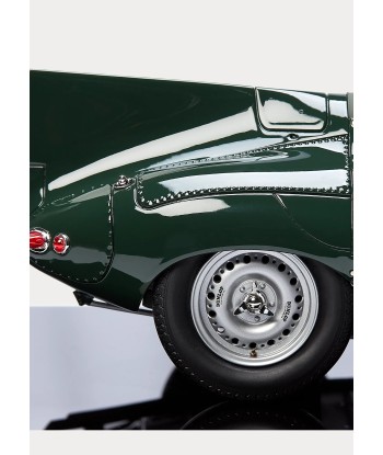 Maquette Jaguar XKD 1955 prix pour 