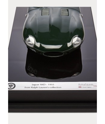 Maquette Jaguar XKD 1955 prix pour 