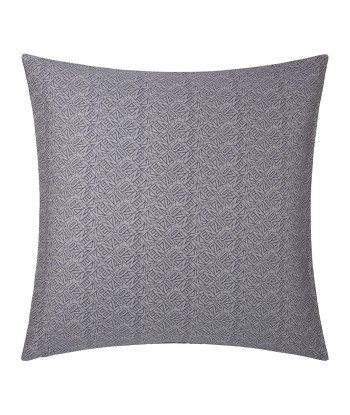 Coussin KZ Iconic Gris Véritable concentré