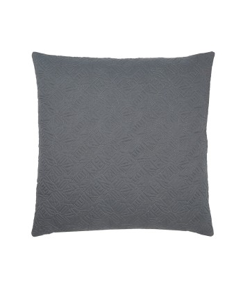 Coussin KZ Iconic Gris Véritable concentré