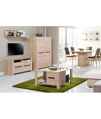 Meuble TV en bois, avec 2 portes Desjo 21 Petit Chêne San Remo, l118xA42xH58 cm pas cher chine