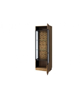 Vitrine en bois et placage, avec 1 porte et LED inclus Mosaic 11 Chêne / Noir, l67xA42xH196 cm Les magasins à Paris