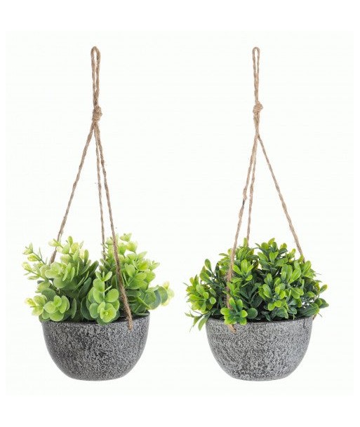 Plante artificielle suspendue en pot Pumila Vert / Gris, Modèles Assortis, Ø10,5xH13 cm votre