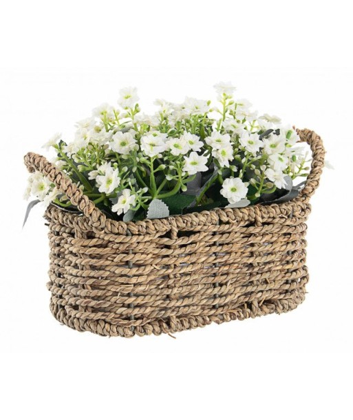 Composition décorative avec plantes artificielles Pétunia Blanc / Naturel L23,5xl12,5xH17 cm hantent personnes