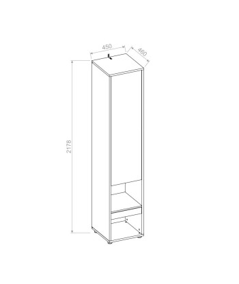 Armoire haute avec 1 porte et 1 tiroir, BC07, Blanc Mat, L45xW46xH217.8 cm les ligaments