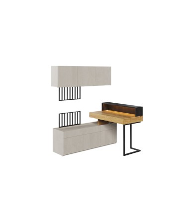 Ensemble de mobilier de bureau en bois, pour enfants et jeunes, 5 pièces, Teen Flex Set 07 Small, Naturel / Gris / Noir Paris Déstockage Promo