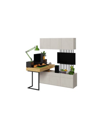 Ensemble de mobilier de bureau en bois, pour enfants et jeunes, 5 pièces, Teen Flex Set 07 Small, Naturel / Gris / Noir Paris Déstockage Promo