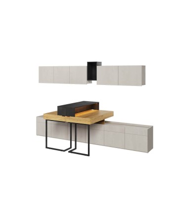 Ensemble de mobilier de bureau en bois, pour enfants et adolescents, 9 pièces, Teen Flex Set 04B Small, Naturel / Gris / Noir pas chere