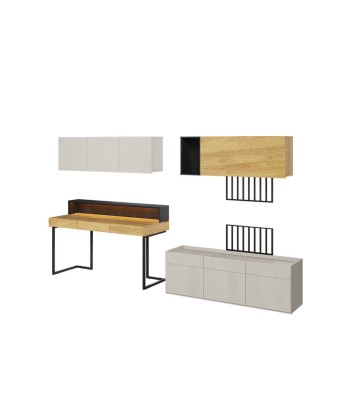 Ensemble de mobilier de bureau en bois, pour enfants et jeunes, 7 pièces, Teen Flex Set 09A Simple, Naturel / Gris / Noir ouvre sa boutique