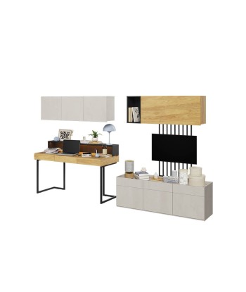 Ensemble de mobilier de bureau en bois, pour enfants et jeunes, 7 pièces, Teen Flex Set 09A Simple, Naturel / Gris / Noir ouvre sa boutique