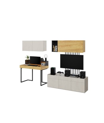 Ensemble de mobilier de bureau en bois, pour enfants et jeunes, 7 pièces, Teen Flex Set 09B Simple Small, Naturel / Gris / Noir s'inspire de l'anatomie humaine