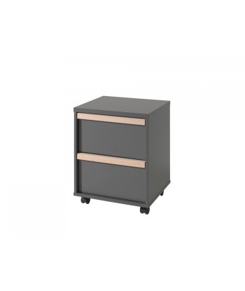 Cabinet PAL sur roues, avec 2 tiroirs, pour enfants, anthracite / Natural London, L48.1xa44xh6 cm solde