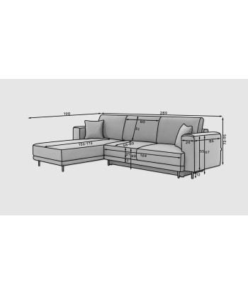 Coltar Extensibil Dalis Plus Maro Deschis cu Lada de Depozitare, Sezlong pe Dreapta, l289xA190xH73-95 cm pas cher 