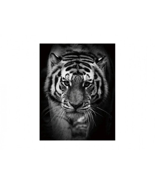 Peinture sur Verre Tiger, 80 x 120 cm de France